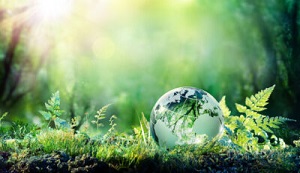 Green, social and sustainable bond market outlook for 2022: everything falls into place